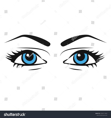 Female Eyes Beautiful Painted Woman Eyes Stock Vector Royalty Free