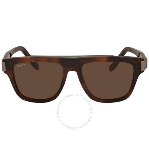 salvatore ferragamo brown browline unisex sunglasses sf1032s 229 54 886895513500 sunglasses