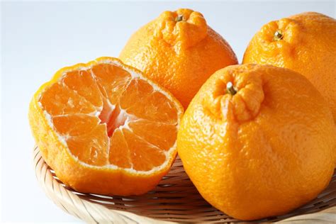 kegunaan buah jeruk buat kesehatan