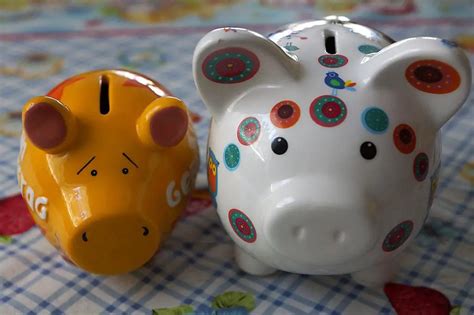 27 Adult Piggy Banks To Inspire Your Savings Nominal Nerd