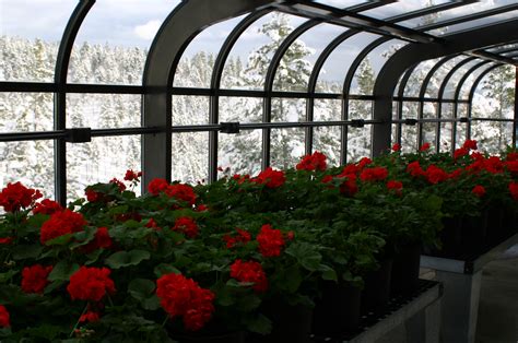 By gardening and greenhouse expert, plant matt. It's Our Biggest Greenhouse Sale of the Year