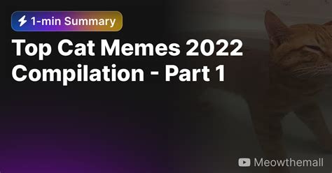 Top Cat Memes 2022 Compilation Part 1 — Eightify