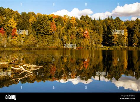 The Natural Beauty Of Canada Displays Itself As Trees Change Colour In