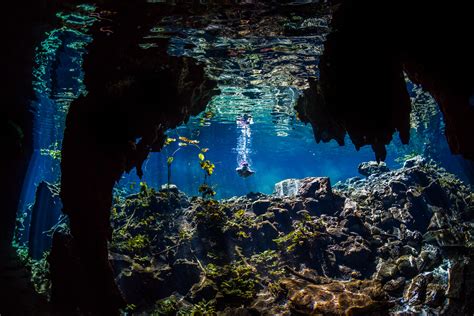 Underwater Photographer Freshwater Spring In Mexico Photographer