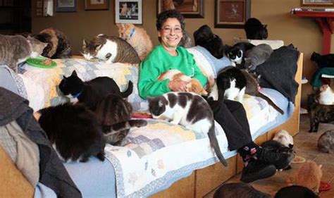 Real Life Cat Lady Woman Lives With 1100 Rescue Cats Uk News