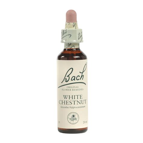 White Chestnut Bach Original Flower Remedies Martin
