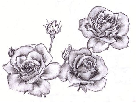 rose drawing tattoo roses drawing tattoo drawings cool drawings line drawing flower tattoo