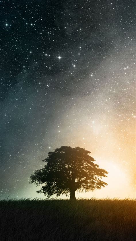 Night Hill Top Lonely Tree Vast Starry Skyscape Iphone 8 Wallpapers