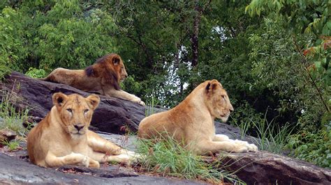 Top 10 Wildlife Sanctuaries And National Parks In Kerala Tusk Travel Blog