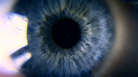 Close Up Macro Blue Female Human Eye Pupil Cornea Iris Eyeball