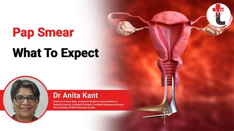 Pap Smear Test In India Pap Smear Test Meaning Pap Smear What To