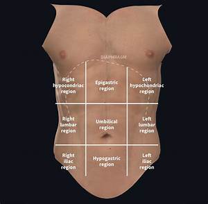 Understanding Abdominal Divisions Anatomy Snippets Complete Anatomy