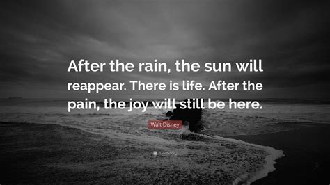 Top 40 Rain Quotes 2023 Update Quotefancy