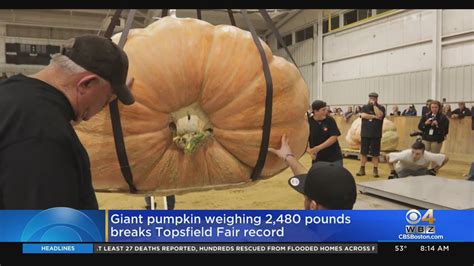Giant Pumpkin Weighing 2 480 Pounds Breaks Topsfield Fair Record YouTube