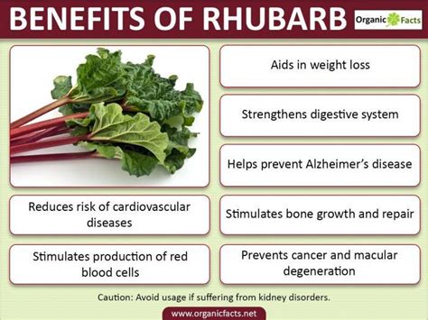 Pin By Gerald Ellwanger Info On Healthy Choice Rhubarb Benefits