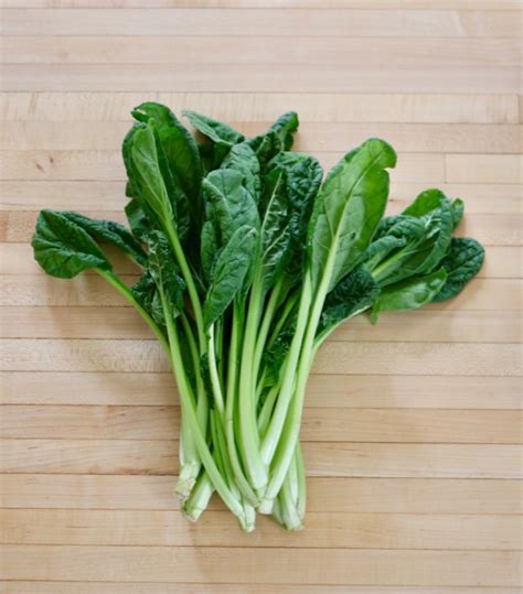 Green stem pak choi (brassica rapa var. Bok Choy, Tatsoi, Yukina Savoy Archives | Cook With What ...