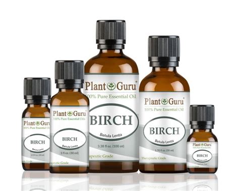 Birch Sweet Essential Oil