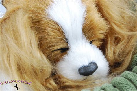 Check spelling or type a new query. Cavalier King Charles Perfect Petzzz Life Like Stuffed Animal Breathing Dog