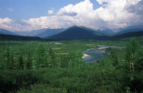 Virgin Komi Forests Unesco World Heritage Centre