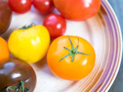 Your Guide For How To Grow Tomatoes From Seeds