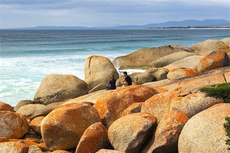 Eight great things to do in the Bay of Fires, Tasmania | NeedaBreak
