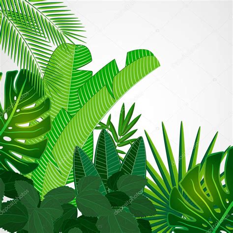 Check spelling or type a new query. Tropical leaves border on isolate background. — Stock ...