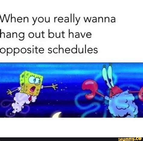 When You Really Wanna Hang Out But Have Opposite Schedules Ifunny