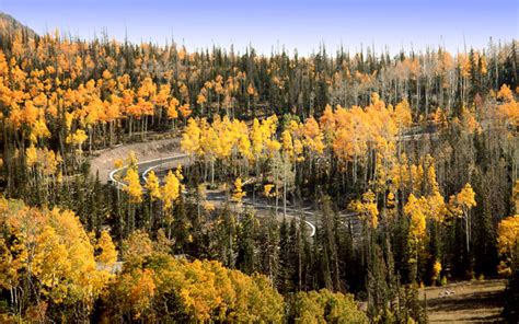 Dixie National Forest Utah