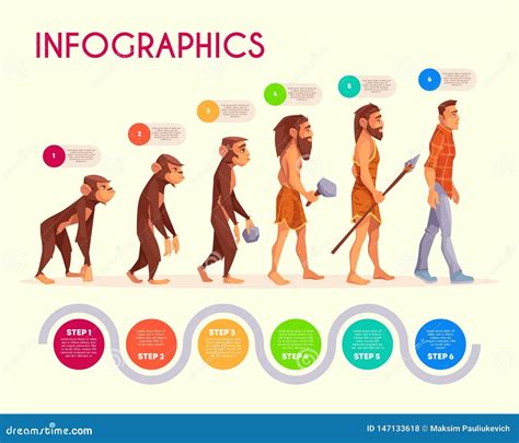 Human Evolution Infographics With Development Stages Vrogue Co