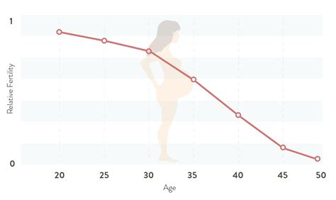 Age And Fertility Pregnancy Info