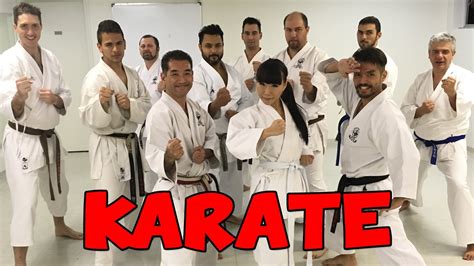 como o karate chegou no brasil