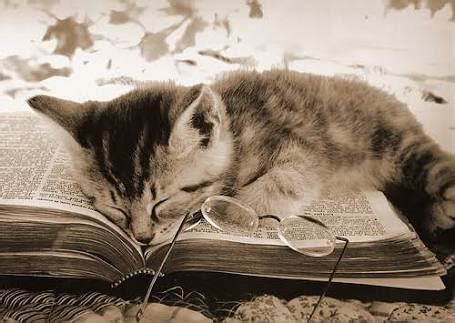 Turgut Uyar Şiirleri Keşke bir şiir okumuş bir kedi sevmiş