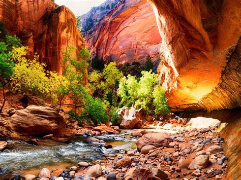 Hiking In The Narrow Canyon Of Virgin River In Zion