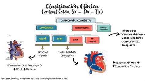 Clasificación Clínica De Las Cardiopatías Congénitas Youtube