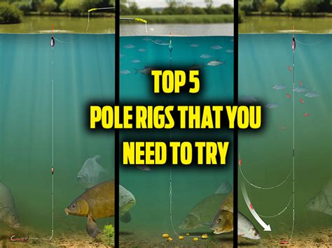 Top 5 Pole Rigs That You Need To Try — Angling Times