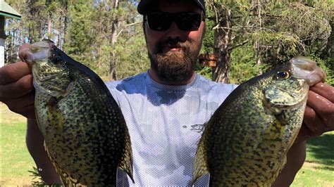 Crappie Fishing The Spawn Harvest Youtube