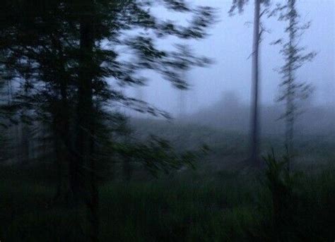 Forest Grunge Dark Darkness Aesthetic Pictures Dark Aesthetic Scenery