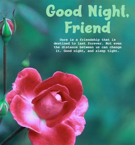 Good Night Picture Messages For Friends