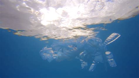 Plastic Pollution In Ocean Environmental Stock Footage Sbv 331355321