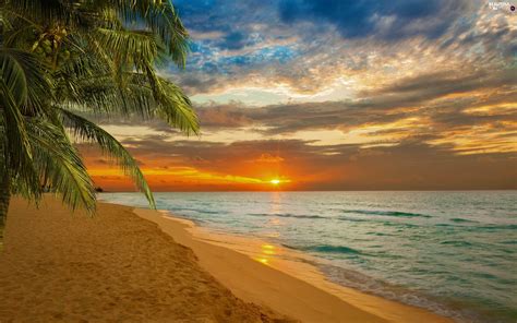 Great Sunsets Beaches Palms Sea Beautiful Views