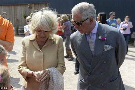 What A Babe Prince Charles Pets Adorable Piglet At Welsh Nature Farm