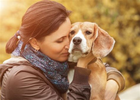 Are Dogs Able To Read Human Emotions Health Enews