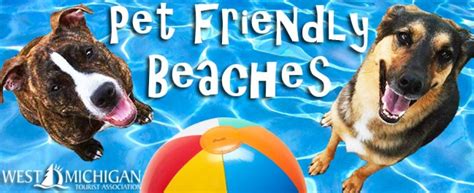 Pet Friendly Beaches In West Michigan West Michigan Tourist