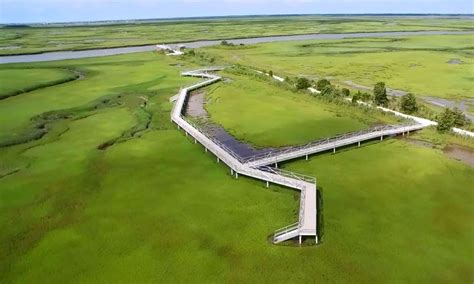 Elevated Marsh Walkway The Wetlands Institute Outdoor Walkway