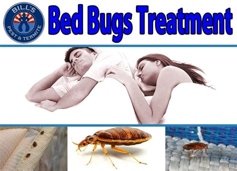 Bed Bugs Treatment Bills Pest Termite Control