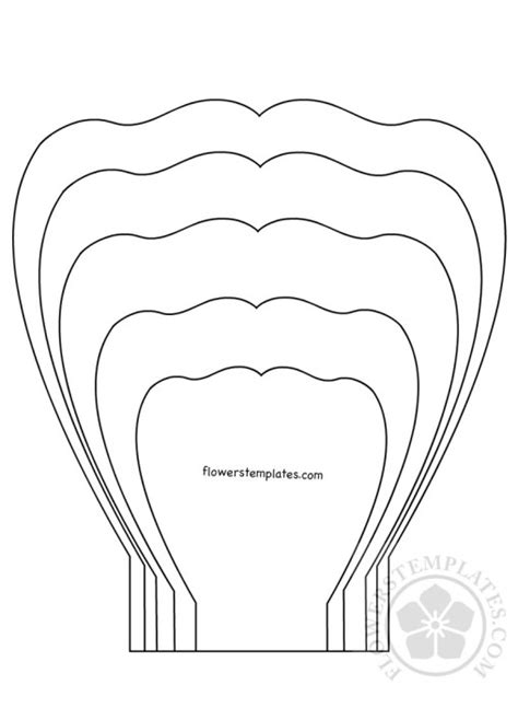 You can get the best discount of up to 50% off. Flower Petal | Flowers Templates