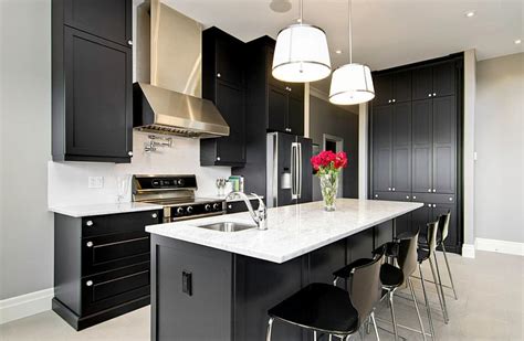 The result is a sleek, bright contemporary colorblock kitchen. Black And White Kitchens: Ideas, Photos, Inspirations
