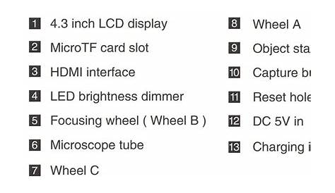 inskam LCD Digital Microscope User Manual