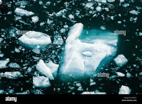 Iceberg Floating In Ocean Alaska Usa Stock Photo Alamy