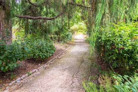 Peaceful Pathway In Botanical Garden 9347003 Stock Photo At Vecteezy